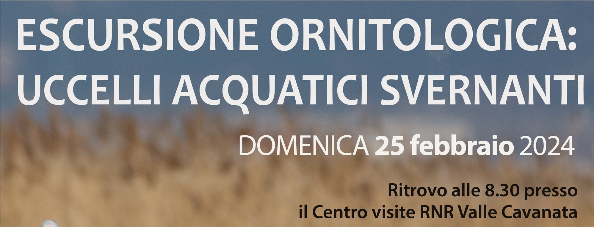 Escursione_Ornitologica_feb2024 - Copia